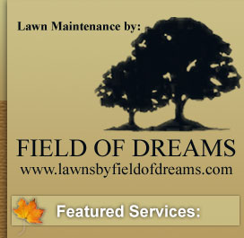 Lawn Maintenance by: Field of Dreams